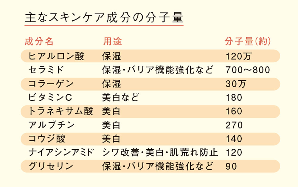 主なスキンケア成分の分子量。