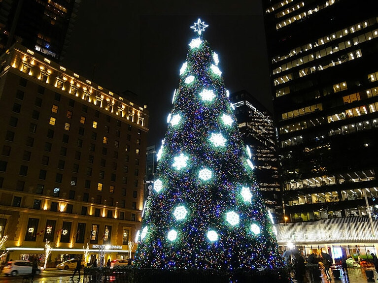 てっぺんまで写すのが大変な巨大ツリー。