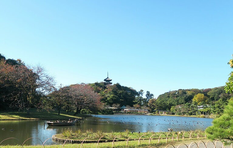 園内の大半を占める大池。和舟が浮かび、水辺にはさまざまな野鳥や亀などの姿も。