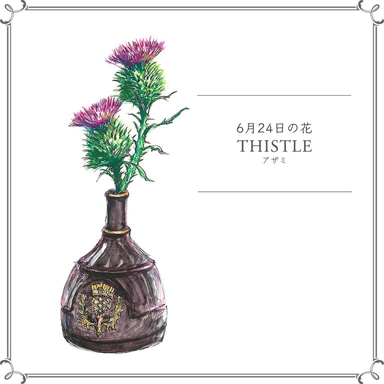 【6月24日の花】アザミ