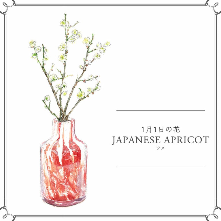 1月1日の花「ウメ」