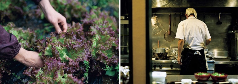 左：1アールの自家農園でニンジンや大根のほか、ハーブやスーパーフードのモリンガなど無農薬野菜を栽培。サニーレタスは夕食で出す「畑のごちそうサラダ」になる。右：はるのひかりで出す料理は、すべてが手作り。支配人の米山さんが厨房に立ち、料理を作ることもある。