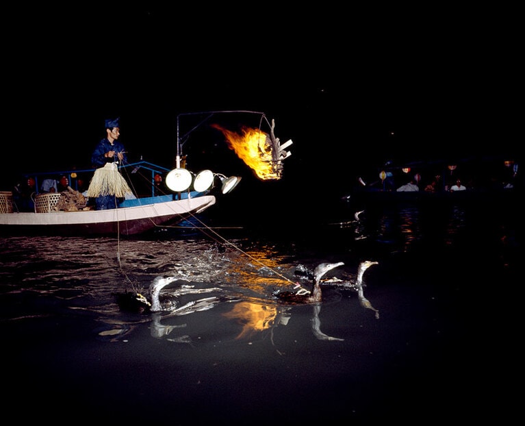 【愛媛県】大洲のうかい。