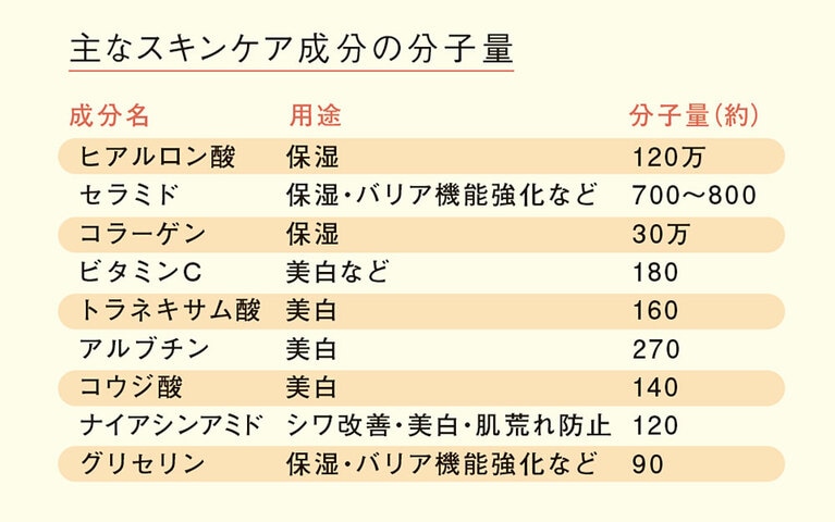 主なスキンケア成分の分子量。