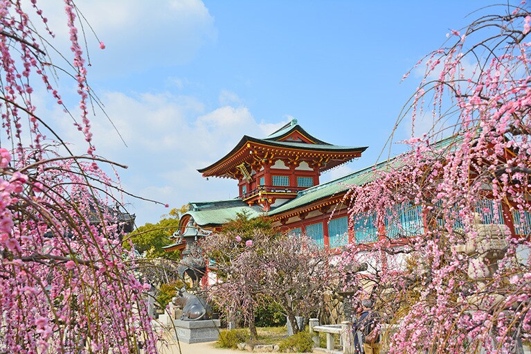 梅の名所 防府天満宮。