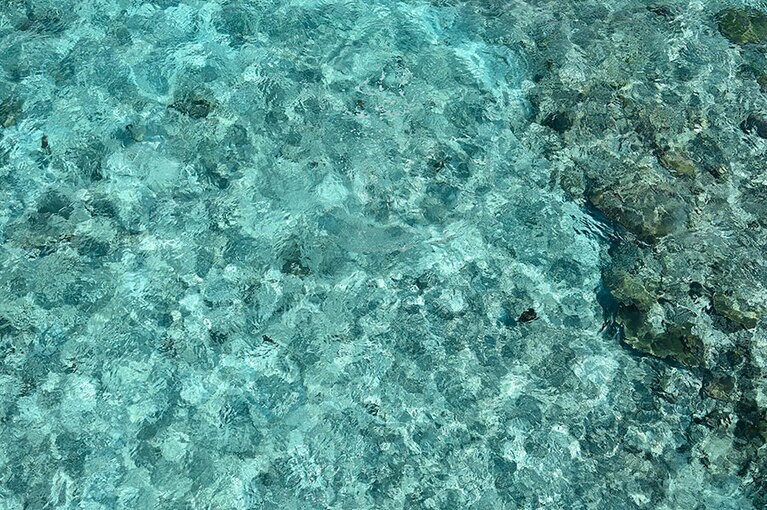 この透明感と美しい色合い。感動の瞬間です。