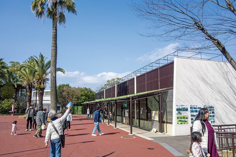 動物たちが見やすいようにリニューアルされた猛獣舎。