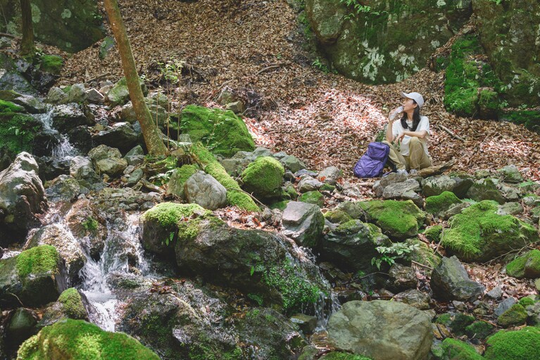 沢沿いなのでマイナスイオンもたっぷり。