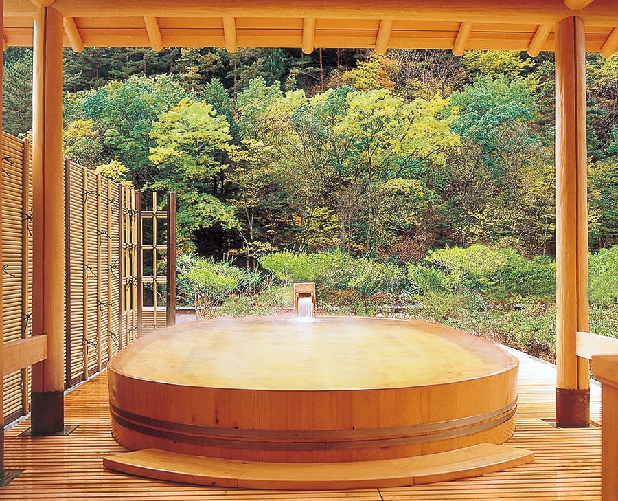 徳川家康も愛したという名湯を、絶景とともに満喫できる野天風呂「望渓の湯」。
