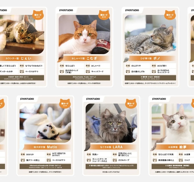 ねこ好き ねこ好きさんの間で大人気の「ねこ検定」（延べ1万7000人超が受検