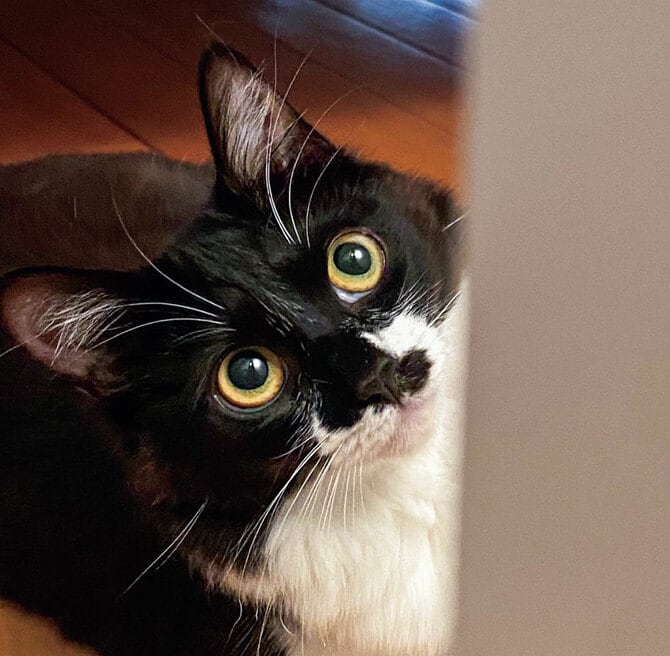 「むーは相槌上手なので、何でも話してしまいます」