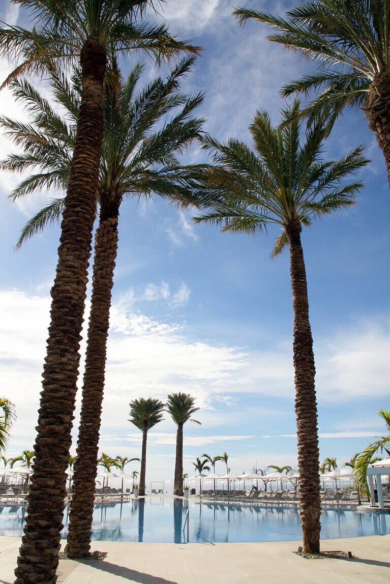 海と一体化した気持ちになるインフィニティプールもある。