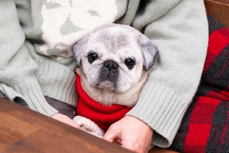 アザーカット。