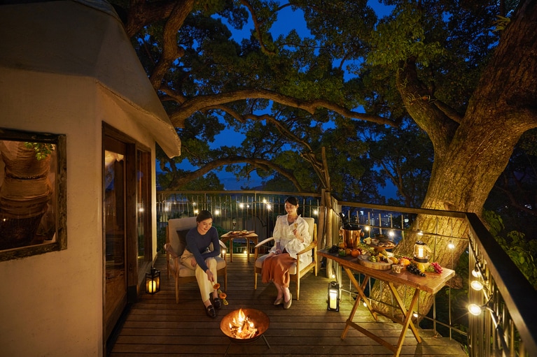 森の空中基地くすくすのツリーハウスを夕闇が包む。夕景と美味で、秋の夕暮れを堪能する。