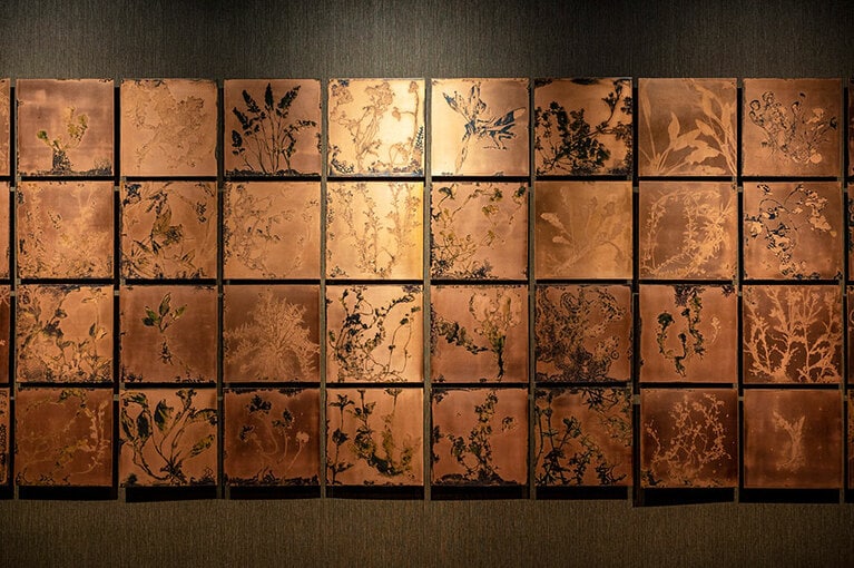 廊下に飾られた銅板彫刻はフェデリコ・ゴーリの作品。