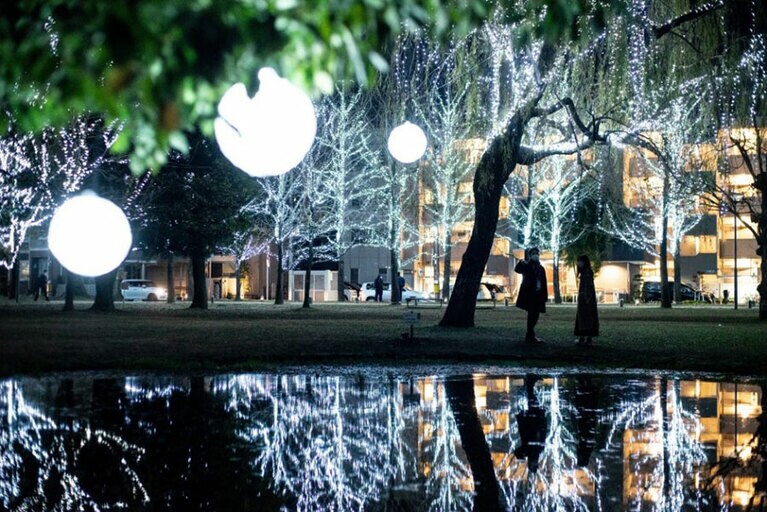 【岐阜県】学びの森プロムナードイルミネーション。