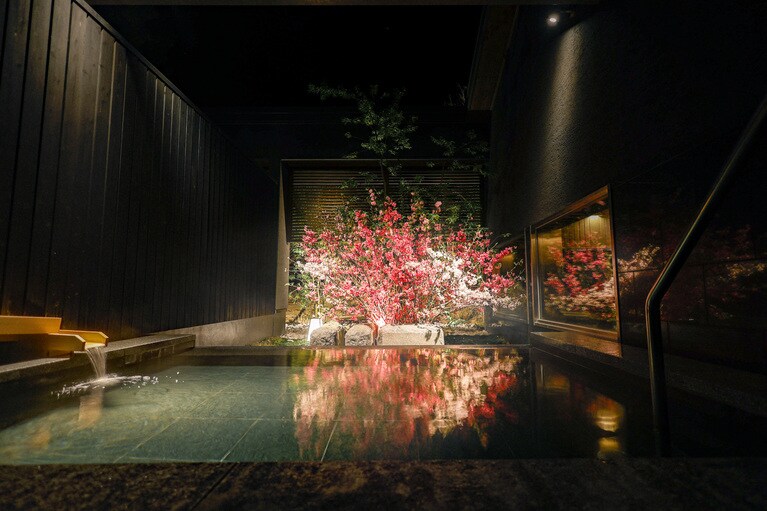 大浴場の露天風呂では、桜を眺めながら名湯を楽しむという贅沢な体験ができる。