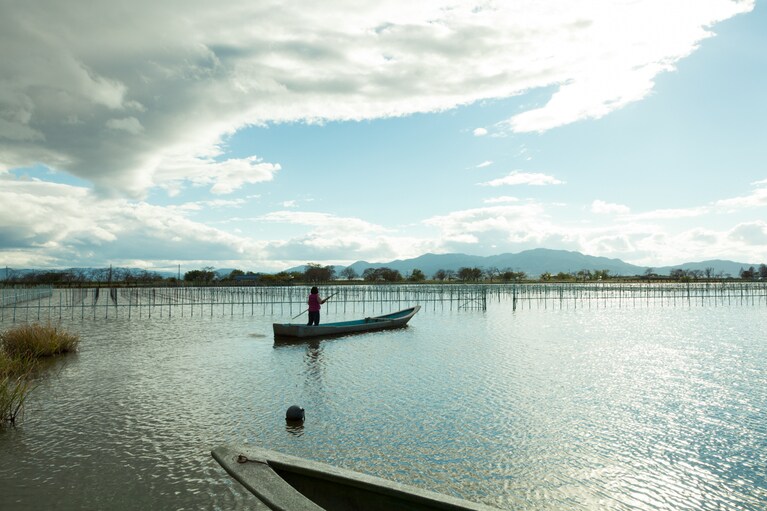 びわ湖真珠の養殖場。（写真提供：神保真珠商店）