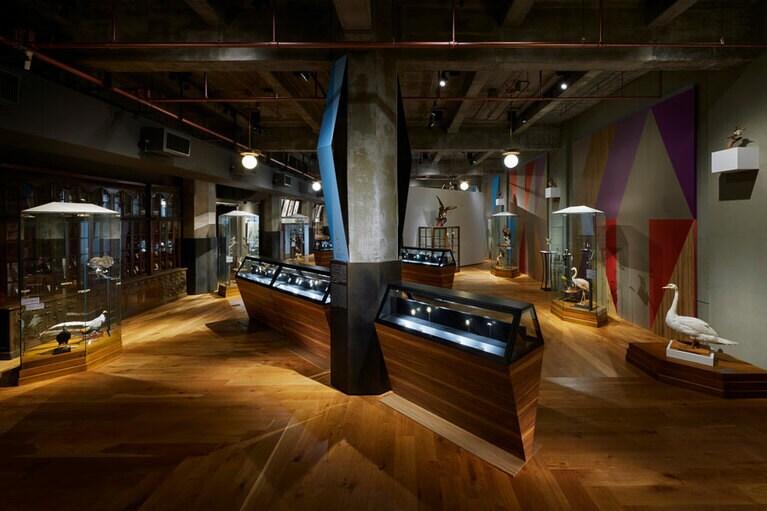 インターメディアテク開館十周年記念特別展示『極楽鳥』会場写真 ©UMUT+L’ÉCOLE