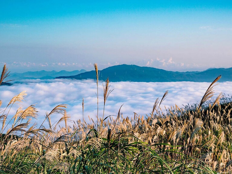 【徳島県】塩塚高原。