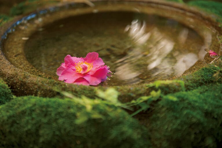 【大正屋】庭園を包む静寂に心が休まる。Photo: Hiroshi Mizusaki