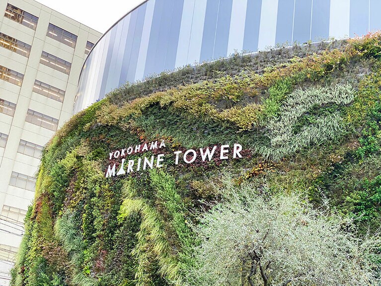 これまでモノトーンだった外壁面は、もこもこのグリーンに覆われ、緑豊かな周辺環境との一体感を生み出しています。