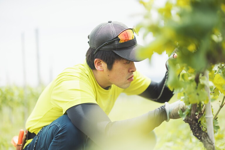 現在は、中棚荘の5代目荘主・富岡正樹さんの三男である富岡隼人さんが、醸造責任者を務める。隼人さんは、ベトナムで生活や仕事をしていたことがあり、隼人さんの妻もベトナム出身の方だという。（撮影：砺波周平）