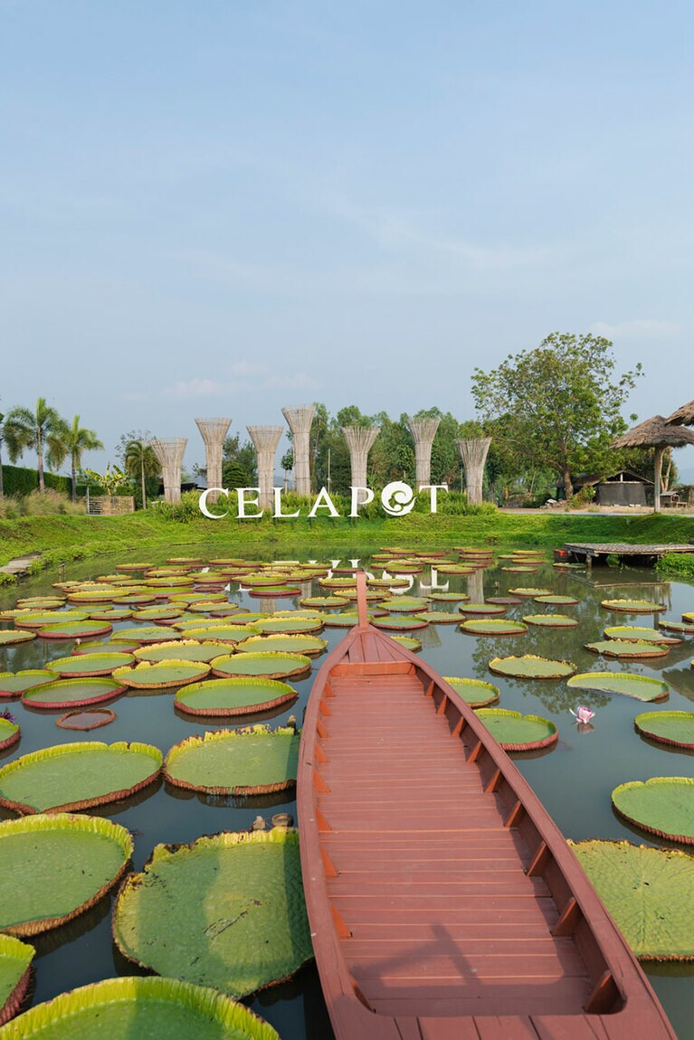 敷地の奥には美しい蓮の池が広がっている。