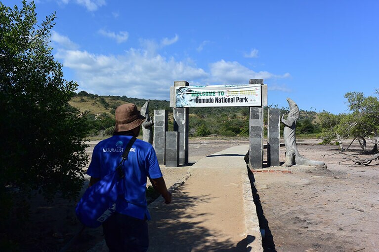 コモド国立公園では、リンチャ島やコモド島などの4つの島にコモドドラゴンが生息しています。