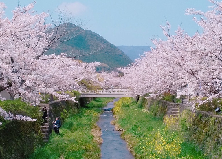 一の坂川。