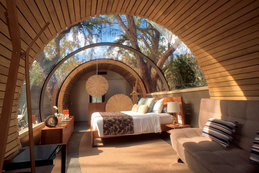 天井も壁も透明。ベッドからも自然の風景を満喫。