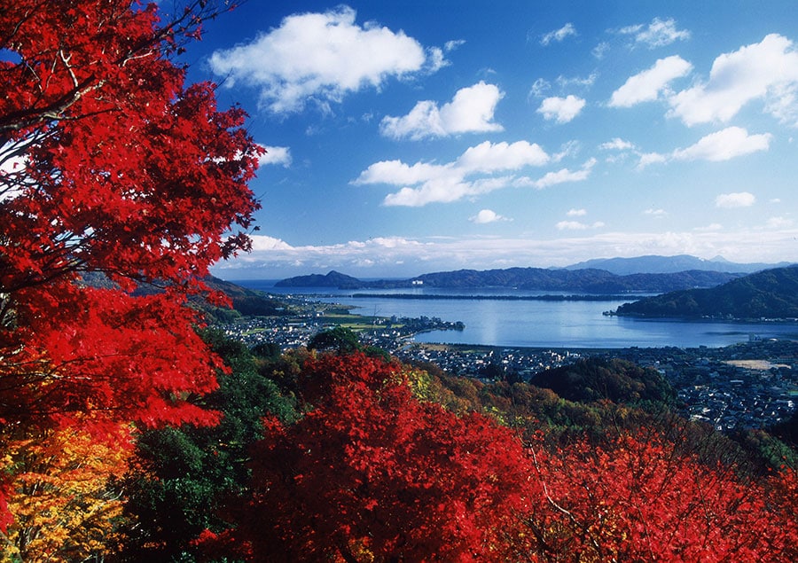 大内峠一字観公園の紅葉。