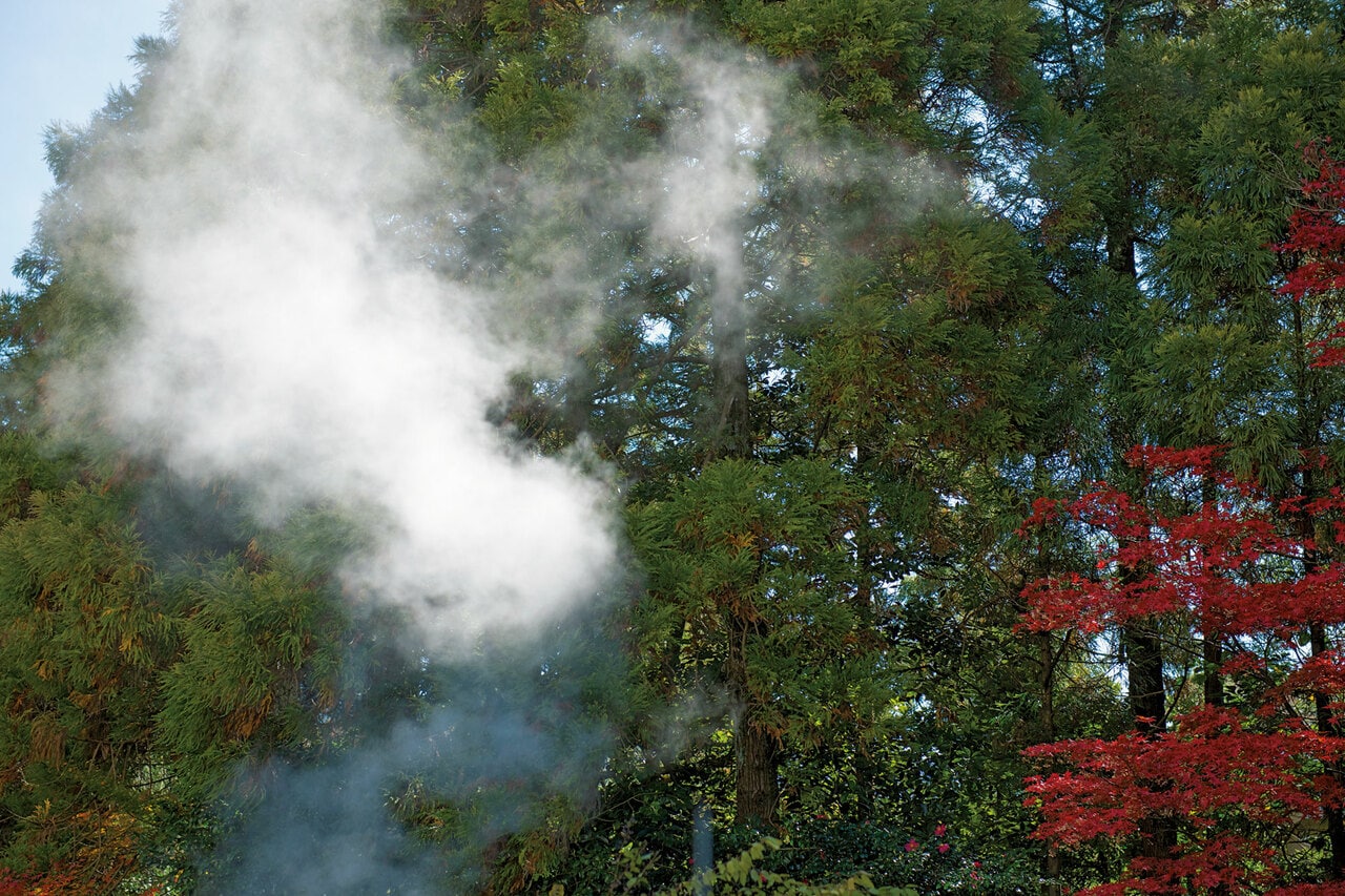 自家源泉から立ち上る湯煙。ナトリウムを多く含む美肌の湯が敷地内からこんこんと湧く。