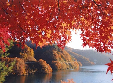 水彩画・風景画・紅葉‘長野県のある秋の風景 水彩画・風景画・紅葉'長野県のある秋の風景（選ぶなら 水彩画
