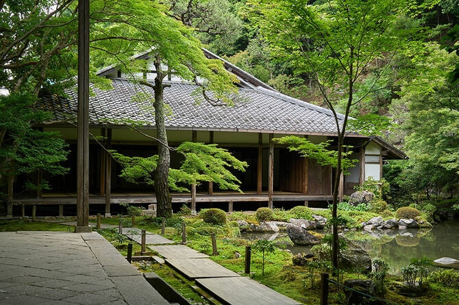 30年目の京都旅”で癒しを堪能 新緑眩しい蓮華寺とスフェラのカフェ で