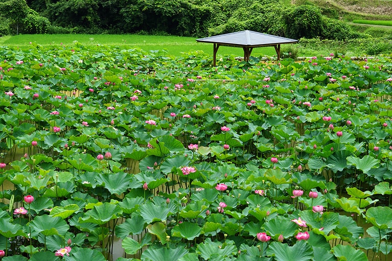 【岡山県】宮地やすらぎの里。