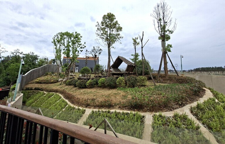 植栽による緩衝帯と柵。灰色の建物は「雲盤館」。木の上にいるのは升誼。（筆者撮影）