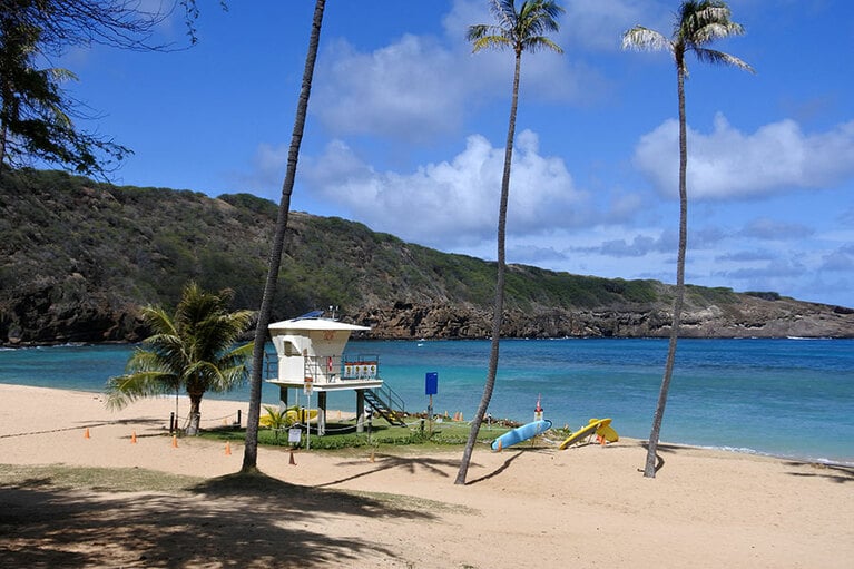 ライフガードが常駐。この近くに、サンゴ礁とそこに生息する魚の種類などを紹介したブースも。