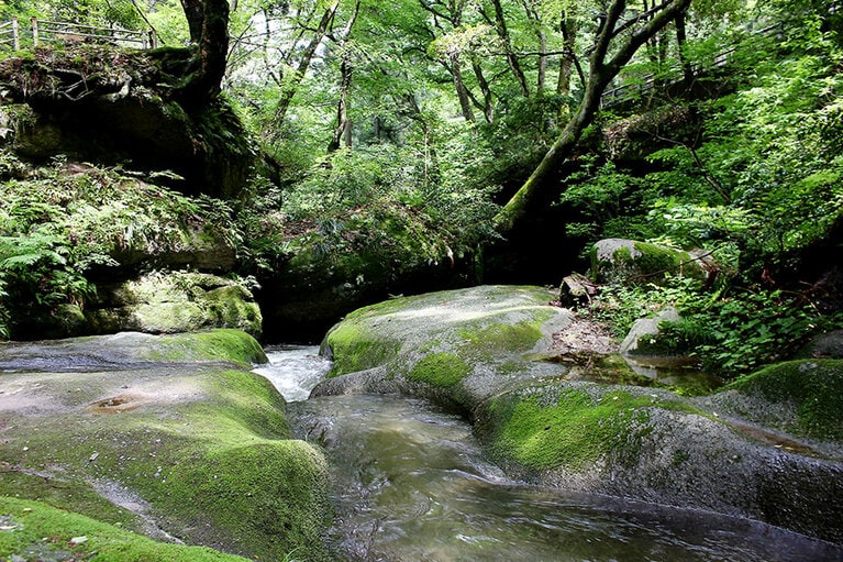 【新潟県】荒川剣龍峡。