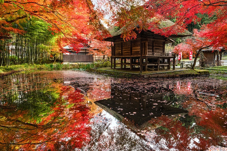 紅葉銀河。