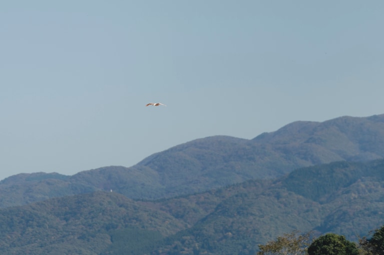 佐渡・宿根木に残る原風景に魅せられて。俳優・工藤阿須加さんと江戸時代にタイムスリップ【通いたくなる島、佐渡】