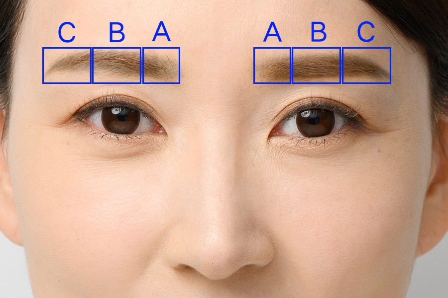 眉毛を大きく3ブロックにわけて、それぞれ色を変えるイメージで。
