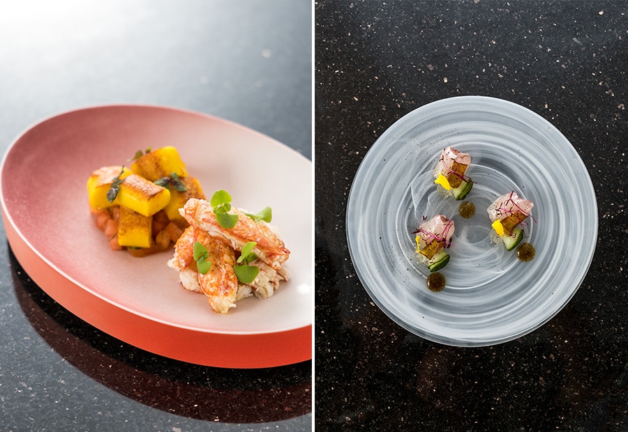 〈左〉ジェイソン・ヤマグチ氏のクリエイティビティが溢れる料理。「パリジェンヌ・ニョッキ」。〈右〉「ハタ」。上質な鮮魚にレモングラスなどを合わせ、新たな味覚を創造する感性が見事。