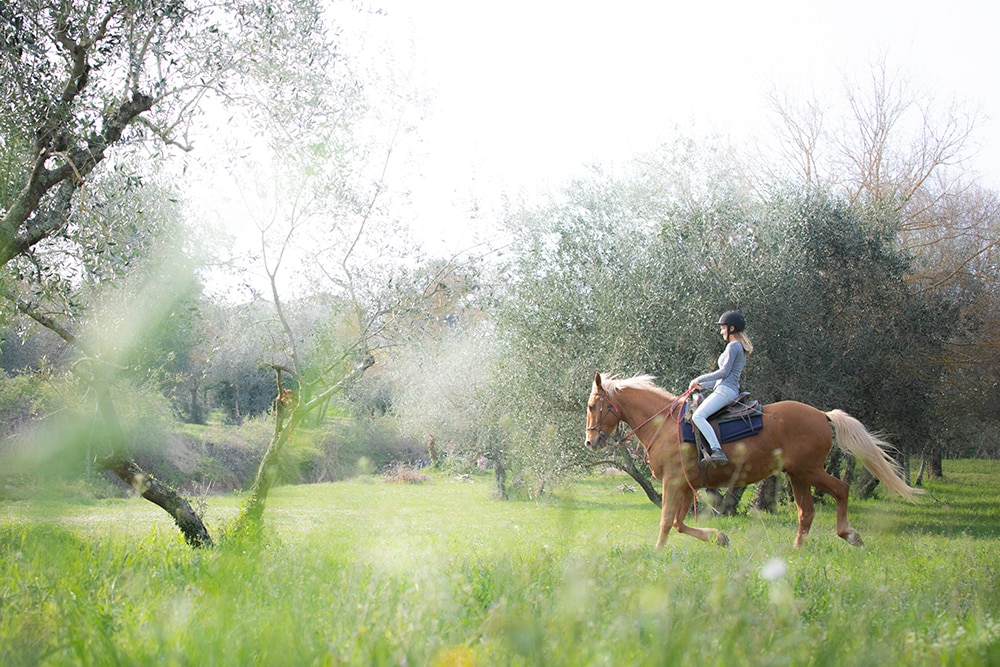 ファットリア・ラヴァッキオでは巨匠が愛した乗馬も楽しみ。