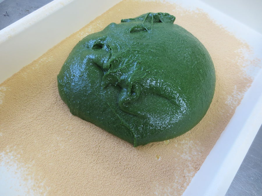 つきたてのよもぎ餅は鮮やかな緑色。