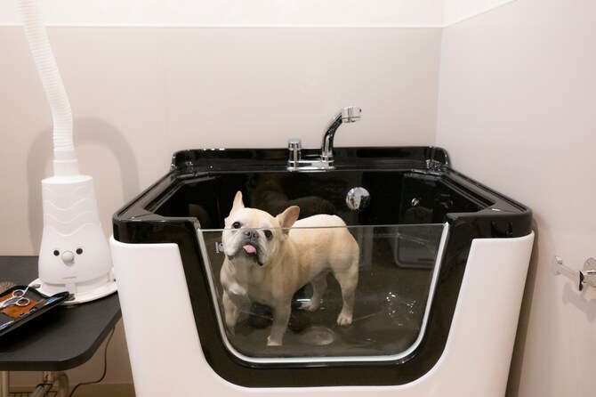 トリミングルームに設置されたペット用のバスタブは、中型犬も余裕で入れるゆったりサイズ。