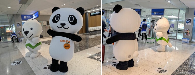 南紀白浜空港で臨時便の乗客を出迎える、紀州犬がモチーフの和歌山県PRキャラクター「きいちゃん」と、和歌山観光PRシンボルキャラクター「わかぱん」。2025年5月24日（土）。