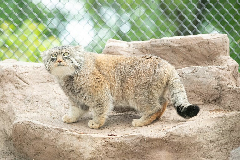 「埼玉県こども動物自然公園」にて。