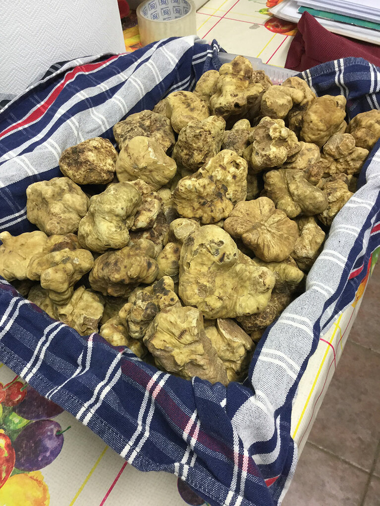 生育環境により色、香り、味、大きさが異なる。