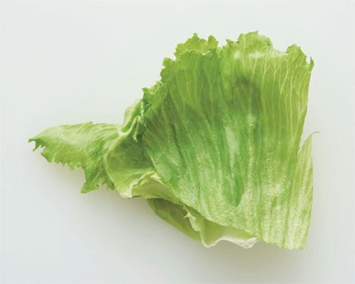 【切り方と下準備】・レタス：4等分